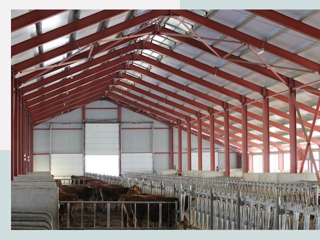 Строительство коровников в Баксане