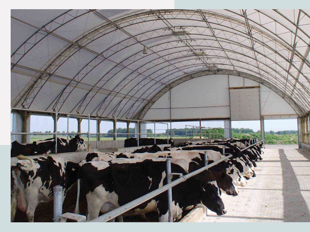 Тентовые коровники в Баксане